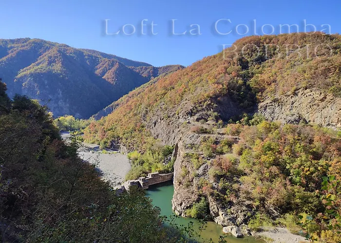 Apartment Loft La Colomba